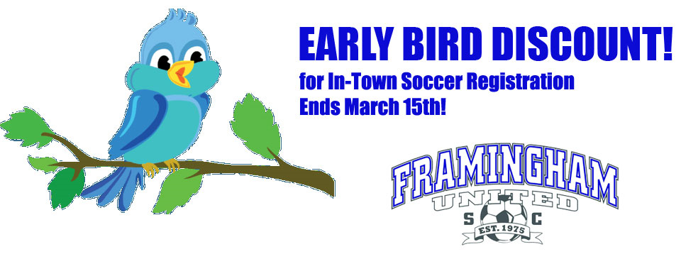 Early Bird Discount for In-Town Soccer